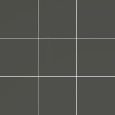Bright Dark Gray