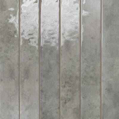 Tender Gray