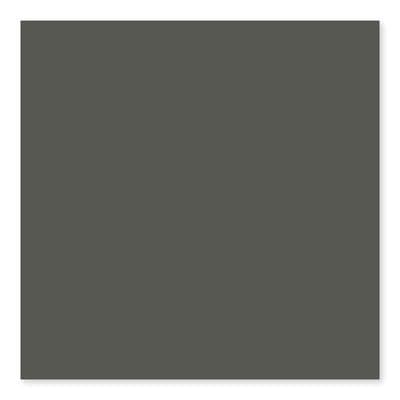 Bright Dark Gray