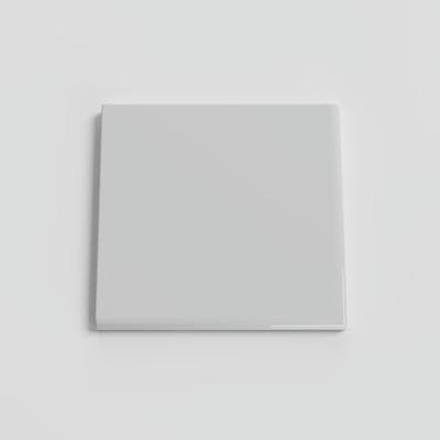 Bright Tender Gray