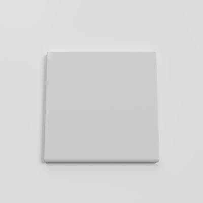 Bright Tender Gray