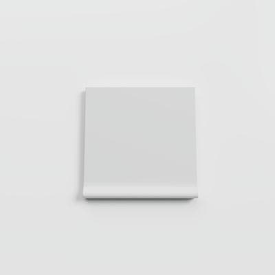 Bright Tender Gray