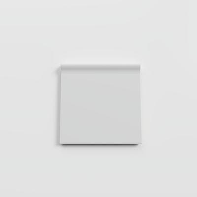 Bright Tender Gray