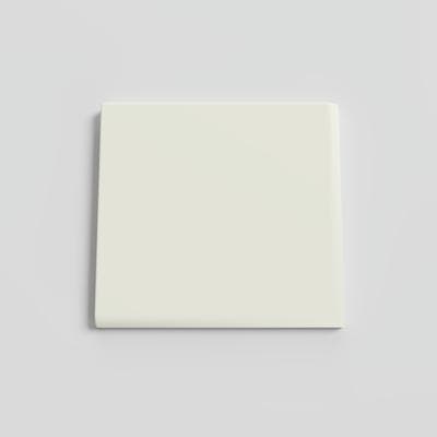 Matte Biscuit