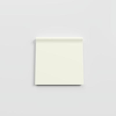 Matte Biscuit
