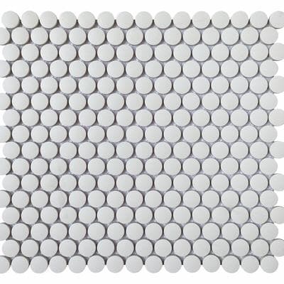 White Penny