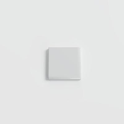 Bright Tender Gray