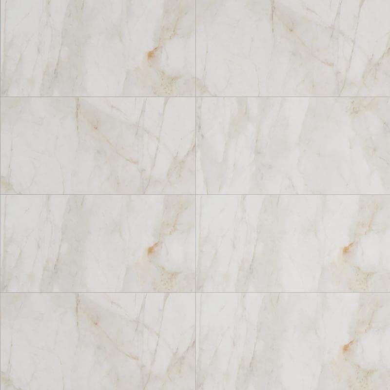 Marble Dolomita White 24x48 R - Image 1