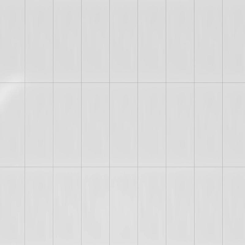 Winter Blanco 8x24 - Image 6