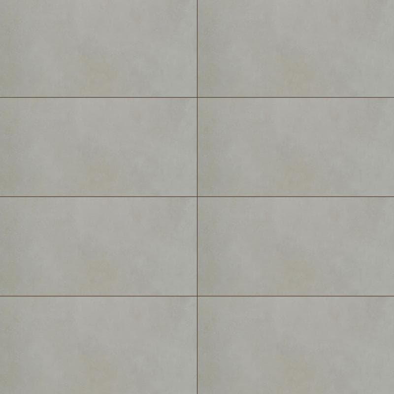 Pro Cement Unpolished 24x48 R - Image 1