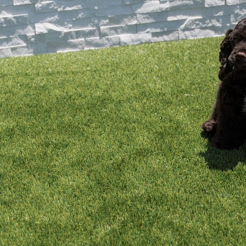 Viridian Turf 96 oz 30 mm - Image 8