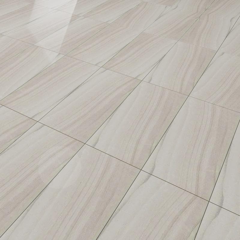 Legend II Arena Polished 12x24 R - Image 5