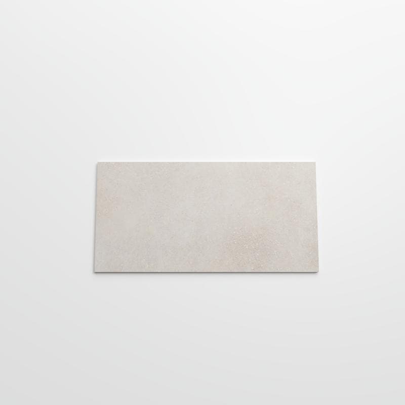 Pro Max Nude Unpolished 12x24 R - Image 3