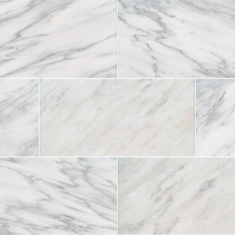 MSI Arabescato Carrara 12x24 Honed - Image 1