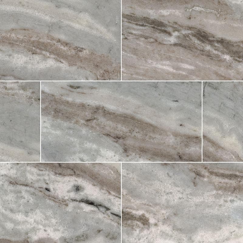 MSI Fantasy Brown 12x24 Polished - Image 1