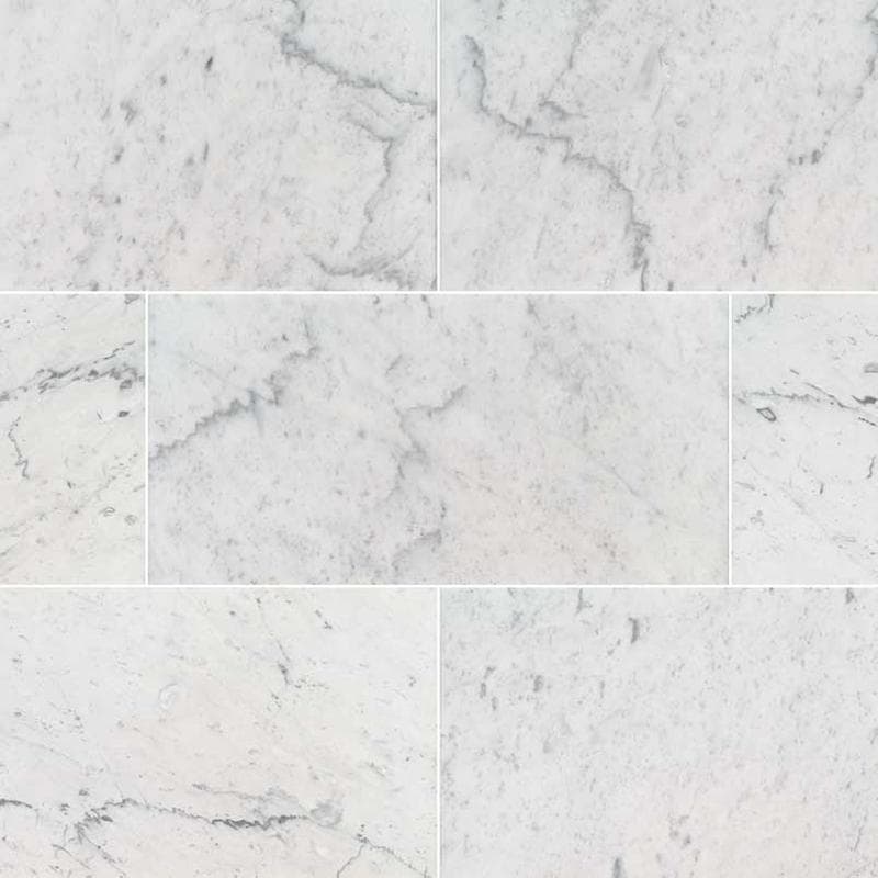 MSI Carrara White 12x 24 Polished - Image 1